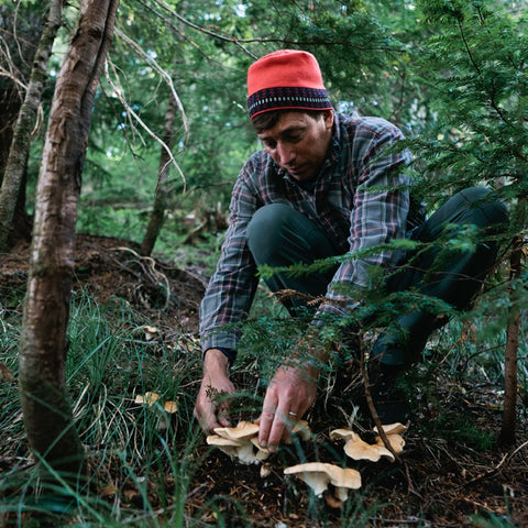 The Coolest Mushroom Festivals, Events, and Conferences